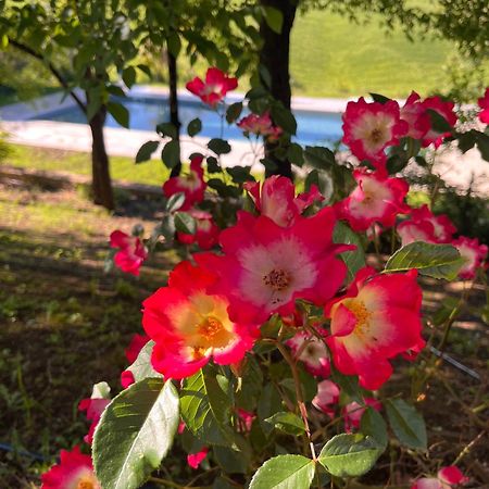 Agriturismo San Fabio Кастельнуово-Берарденга Экстерьер фото