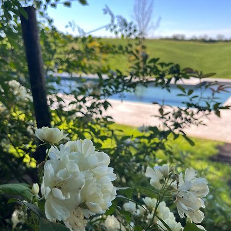 Agriturismo San Fabio Кастельнуово-Берарденга Экстерьер фото