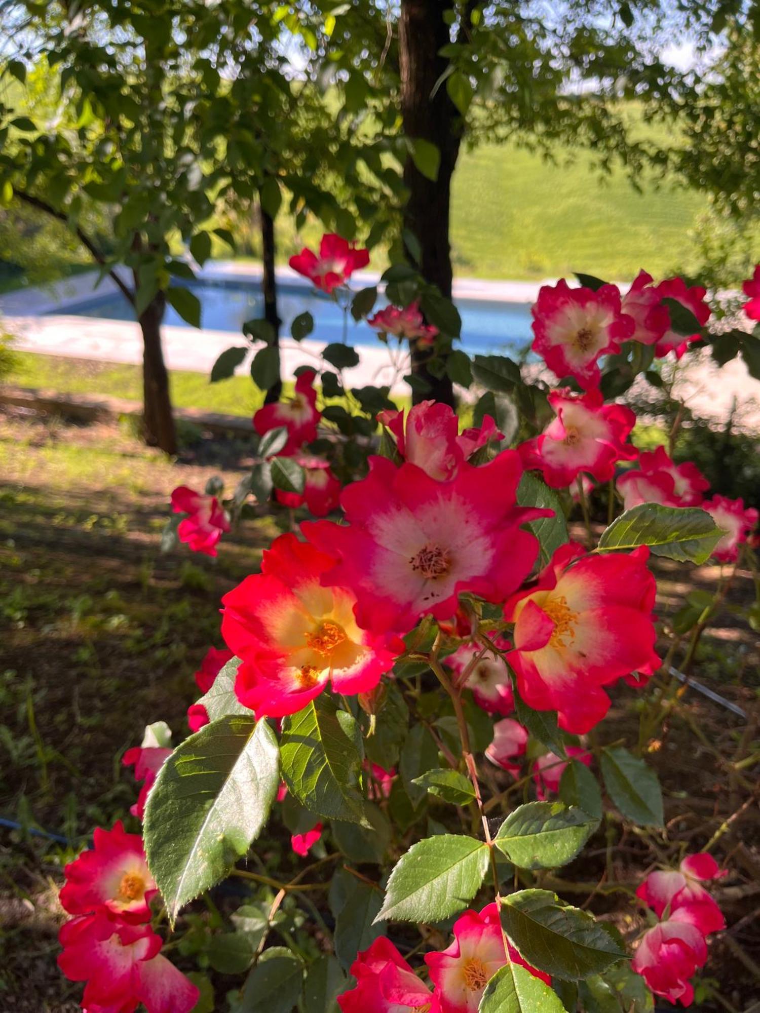 Agriturismo San Fabio Кастельнуово-Берарденга Экстерьер фото