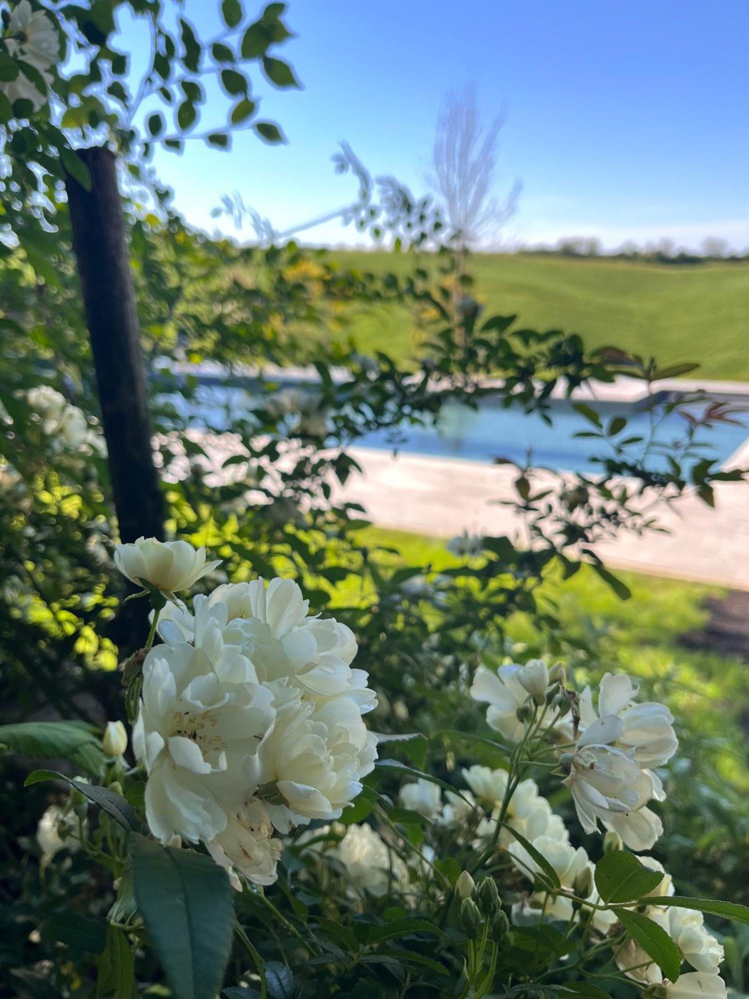 Agriturismo San Fabio Кастельнуово-Берарденга Экстерьер фото